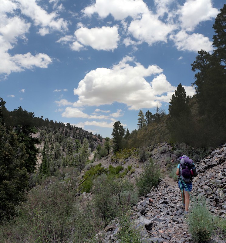 We finally get some shade from growing cumulus clouds as the PCT winds along above Arrastre Creek