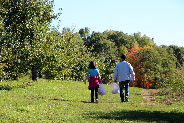 Walking the orchard