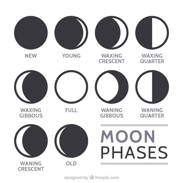 Moon phases | Mark Mathosian | Flickr
