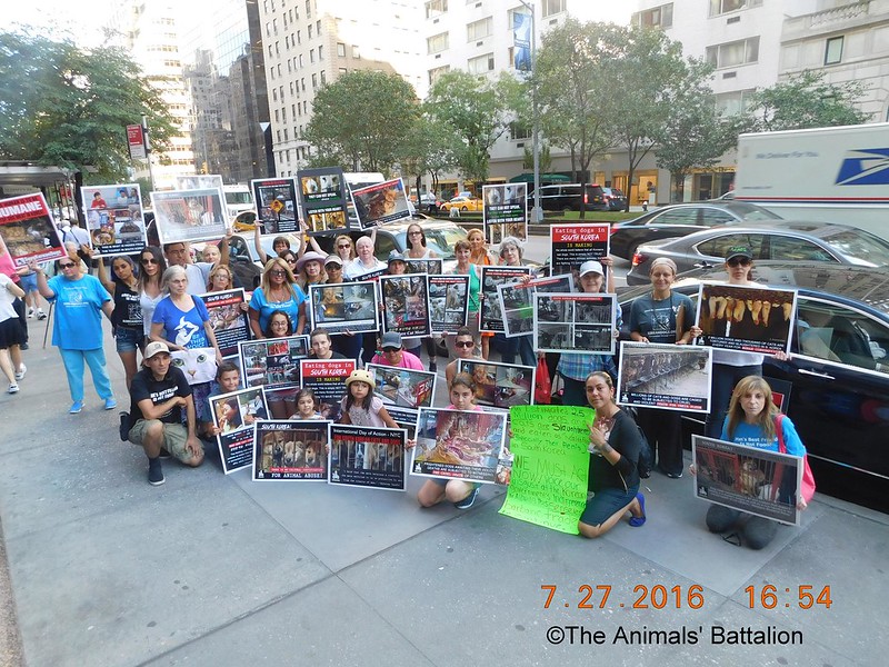 New York, South Korean Consulate General, International Day of Action for South Korean Dogs and Cats (Day 2) – July 27, 2016 Organized by The Animals' Battalion