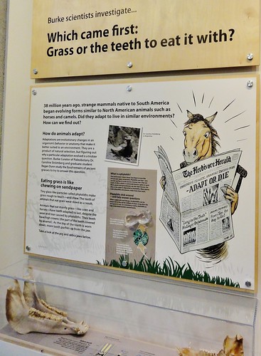 Photo shows a wall display with the caption, 