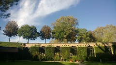 Garden of Palazzo Pfanner. I can spend hours here. Love this place.