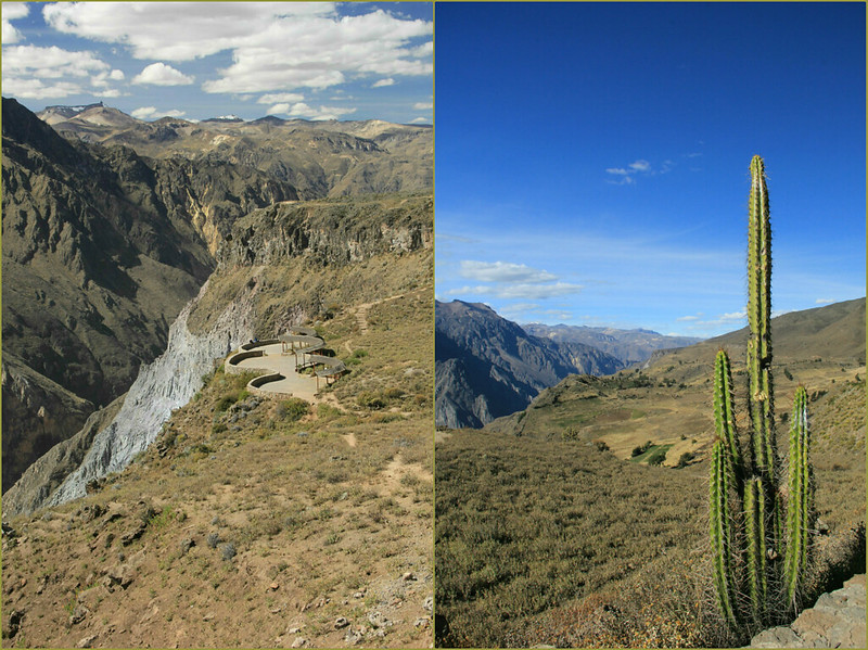 Cruz del Condor viewpoint, Colca Canyon
