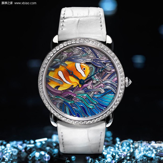 Much better looking than the big fish of Begonia of delicate fish watch