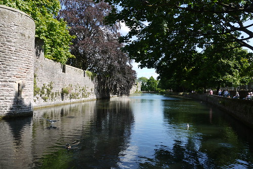 The Palace Moat