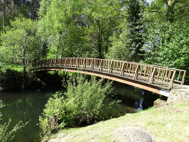 Puente en el parque del Eume
