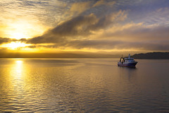Wellington Harbour Sunrise