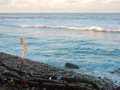Pipe Stuck in Coral Shore