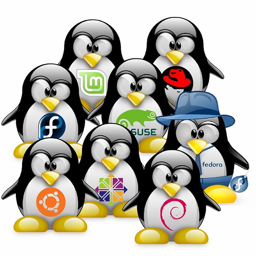 The Linux distors zoo. Credit: MuseScore (CC BY 2.0)