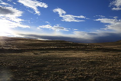 Altiplano light