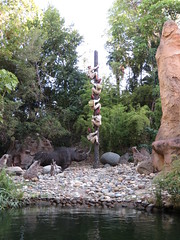 Jungle Cruise, Adventureland, Disneyland, Anaheim, California