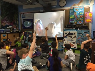 Skype Classroom - Sharks