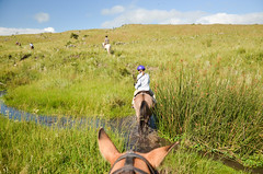 Horseriding at Estancia Los Potreros
