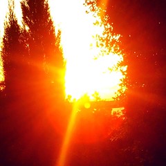 حركات وكذا #غروب #الشمس #حمص #سوريا #طبيعة  #sun #sunset #sunshine #sunsetlovers #sunlight