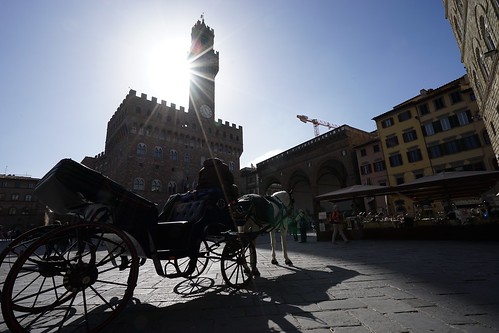 Firenze 2015 - Piazza della Signoria (17)