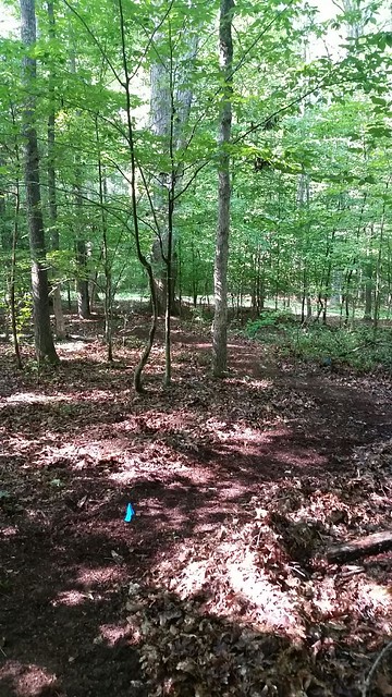 New Trail at Pocahontas State Park