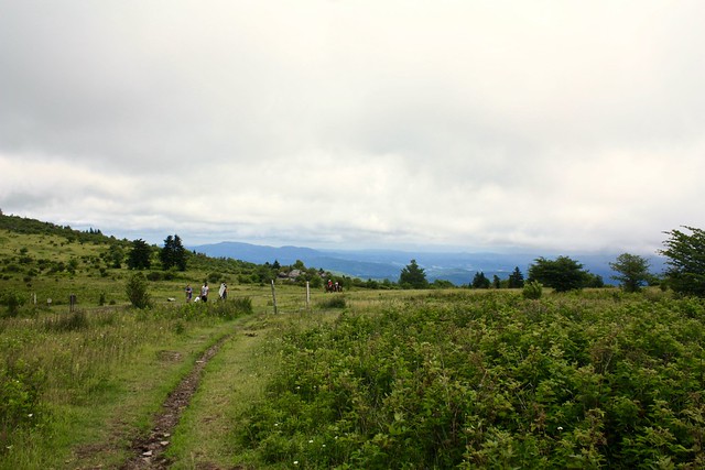 Hikers and horseback riders enjoy the Horse Trail North at Grayson Highlands State Park, Virginia