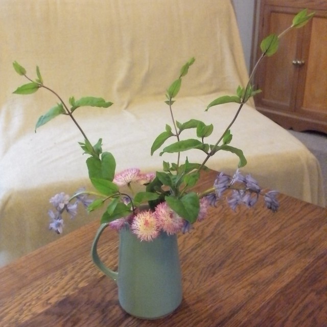 Flowers standing in a pastel-blue Foley jug, on a wooden coffee table.