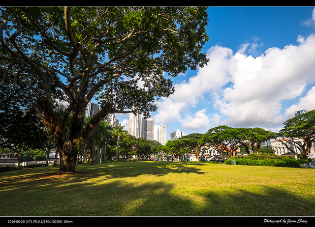 新加坡綠化覆蓋率已達成46.7%，圖為新加坡的城市綠化一景。攝影：Jason Chang（CC BY-NC 2.0）。