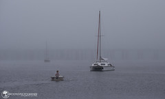 Paddling Out | New Bern, NC Fog
