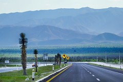 Carretera Matehuala a San Luis - SLP México 150401 170857 05513 HX50V