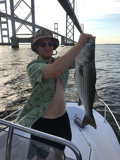 Man holding striped bass on boat