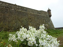 Saint Malo - Fort National