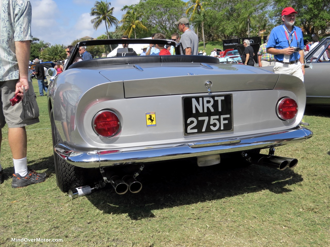 Ferrari 275 GTB:4 NART Spyder Left Rear