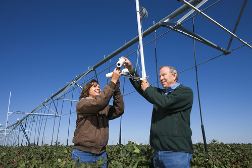 USDA-ARS agricultural engineers Susan O’Shaughnessy and Nolan Clark adjust the field of view for wireless infrared thermometers.
