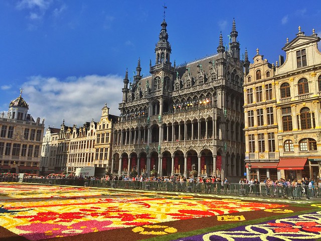 Alfombra de Flores 2016 en la Grand Place de Bruselas