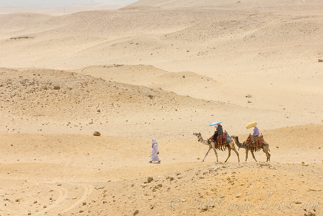 Camel Ride, Giza, Egypt 2015