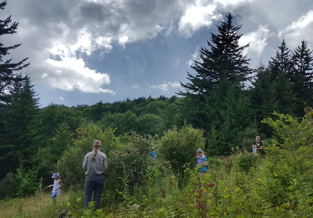 Kids having fun picking wild blueberries at Grayson Highlands State Park with the ranger
