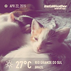 Fotografia feita com InstaWeather App! @instaweatherpro #instaweather #instaweatherpro #weather #wx #android #eldoradodosul #brazil #day #autumn #clear #afternoon #br
