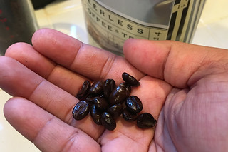Everyday Coffee in the City - Peerless Coffee Guatemala Antigua Dark beans
