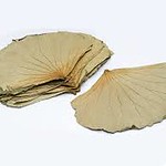 dried lotus leaves
