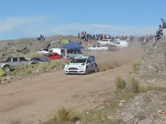 EVANS, Elfyn - M-SPORT World Rally Team