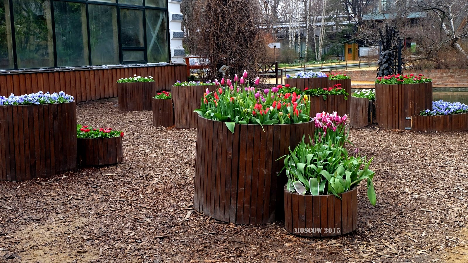 Ботанический сад МГУ «Аптекарский огород», Москва