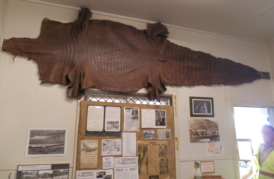 Evidence of Crocodiles! Wyndham Museum