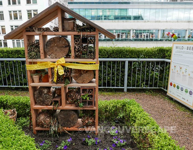 Wild for Bees Launch at Fairmont Waterfront-1