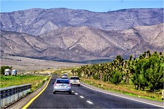 Carretera Saltillo a Matehuala - Coahuila México 150330 142635 04803 HX50V