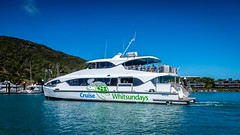Hamilton Island Watersports Cruise-5