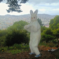 Big Wheel Race 2013: Easter Bunny Hops Along Potrero Hill
