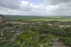 Volubilis, looking SW from the top of the tumulus