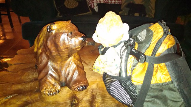 Bear Meets Bear