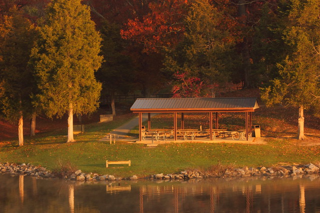 Picnic shelters make this a great park for a group outing at Claytor Lake State Park, Virginia.