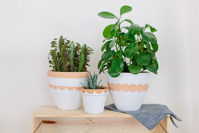 DIY Scalloped Painted Pots