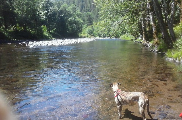 Lucy and the Wilson River