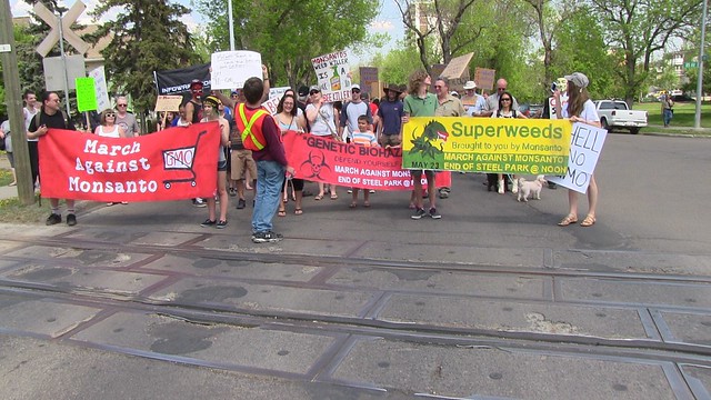 March Against Monsanto 2015 - Edmonton