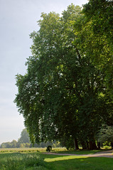Parc du château d’Acquigny