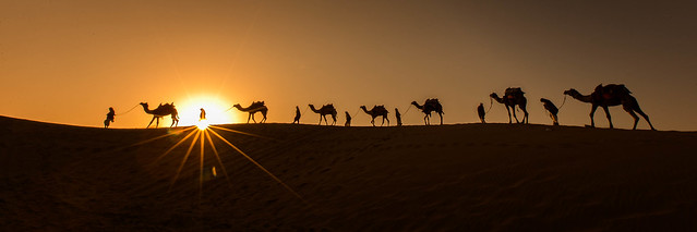 The Caravan (Thar Desert, India)